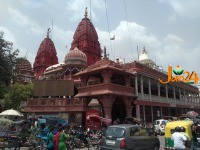 IMG_20150703_110649-web