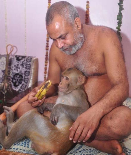 Monkey and Muni Viharsh Sagar