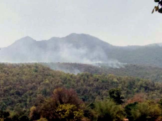पारसनाथ पर्वत के जंगल में आग
