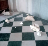 WhatsApp Image 2019-10-14 at 7.38.39 PM